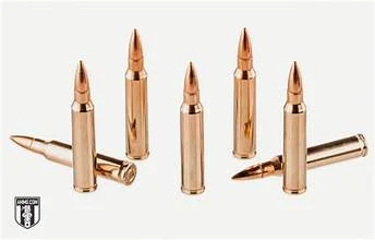 223 vs 5.56 Ammo: Differences & Which to Buy